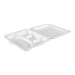 sugarcanesquarelunchboxcompartment