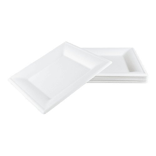 100 Stuks Vierkante Wegwerpborden Van Suikerriet - 50x26cm + 50x16cm | Extra Stevig, Eco-vriendelijk | Voor Picknick, BBQ & Feesten