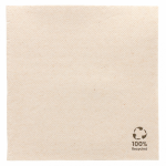 Servetgerecycled/ongebleektxcm¼vouwDP