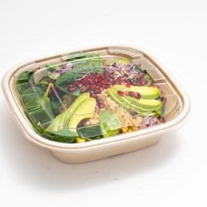 PETdekselvoorsuikerrietcateringschaalml