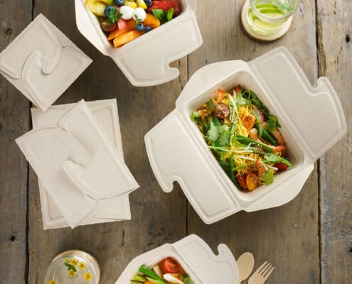 Suikerriet meal box to go assortiment Sabert