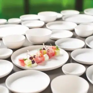 Wegwerp servies
