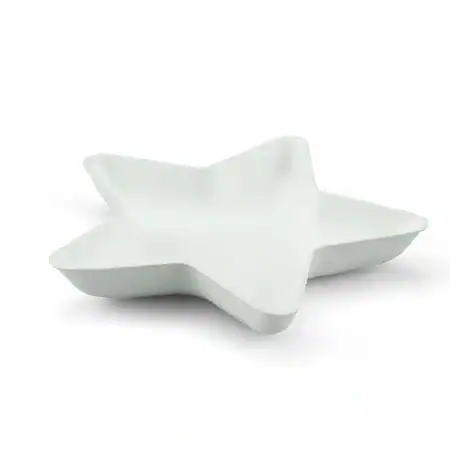 Bagastro ster Ø14xH2cm