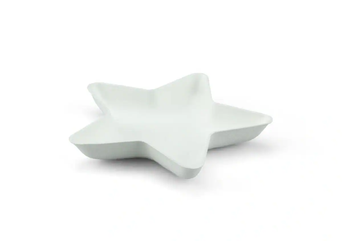 Bagastro ster Ø14xH2cm