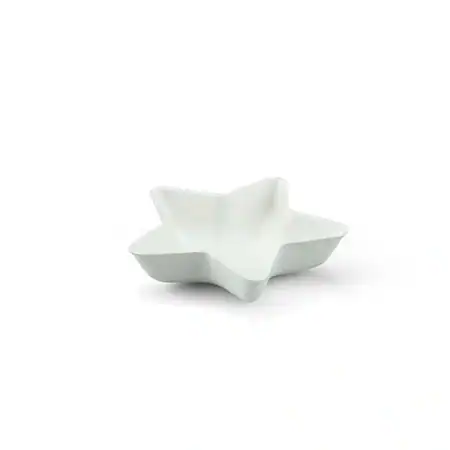 Bagastro ster Ø8,5xH2cm