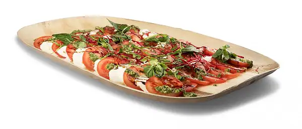 Palm cateringschaal 55x36xH2,5cm